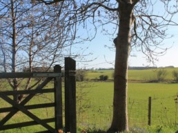 nature walks for groups east midlands | Thorganby Hall