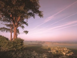 beautiful country walks for silver surfers east midlands | Thorganby Hall